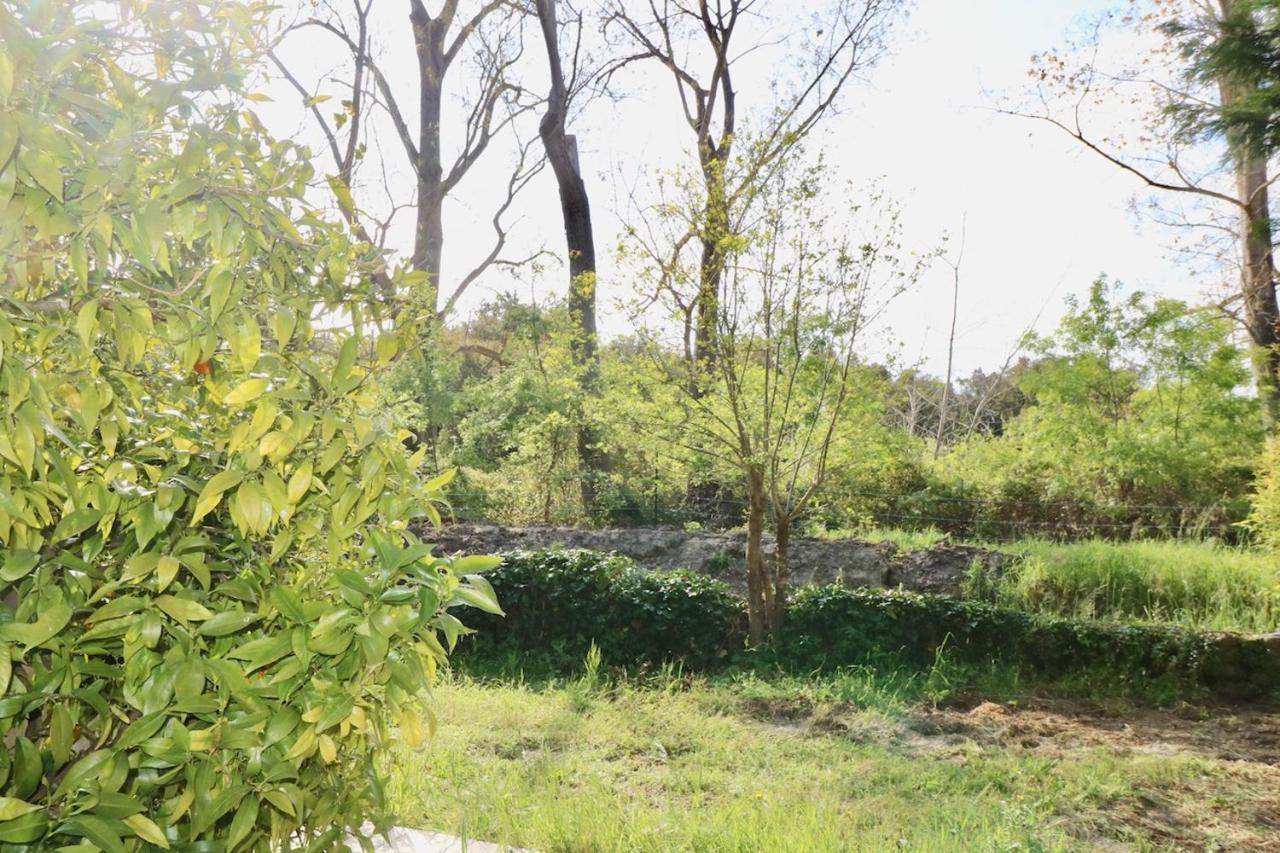 Gites Terra Di A Bravona Linguizzetta Εξωτερικό φωτογραφία